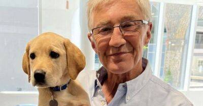 Paul O'Grady's lifelong love for animals including rehoming 80 dogs and cats - www.ok.co.uk