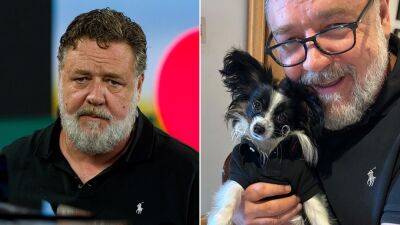 Russell Crowe says his puppy died in his arms after being hit by a truck: 'He stole my heart' - www.foxnews.com - Australia