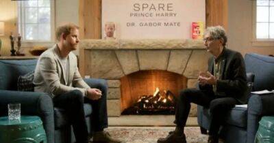 Trauma expert Gabor Maté diagnoses Prince Harry with ADD but says it 'can be cured' - www.ok.co.uk