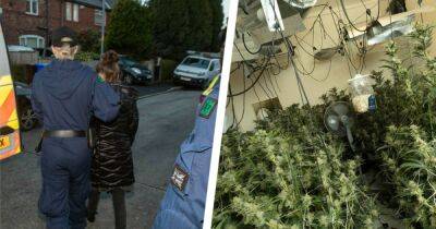 Woman arrested after specialist officers smash into house and uncover cannabis farm - www.manchestereveningnews.co.uk - Manchester