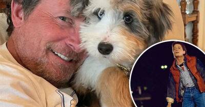 Michael J. Fox poses for an adorable photo cuddled up with his new pup - www.msn.com
