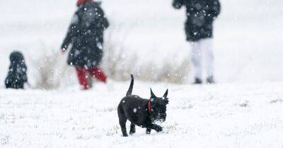Cold weather alert extended as UK to be hit by freezing Arctic blast - www.manchestereveningnews.co.uk - Britain - Manchester - county Highlands