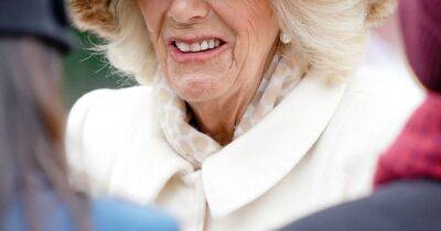 Camilla pulls out of royal visit as bad weather disrupts her travel plans - www.ok.co.uk - Britain - London - county Suffolk
