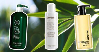 17 Best Shampoos for Thick Hair in 2023 - www.usmagazine.com