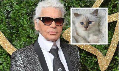 Met Gala’s special guest revealed: Karl Lagerfeld’s cat Choupette - us.hola.com - New York