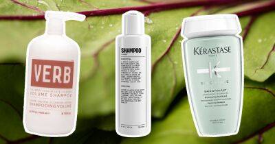 16 Best Shampoos for Fine Hair in 2023 - www.usmagazine.com