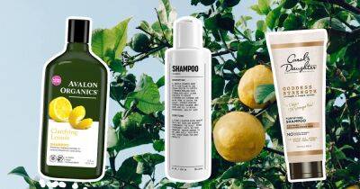 13 Best Natural Shampoos in 2023 - www.usmagazine.com