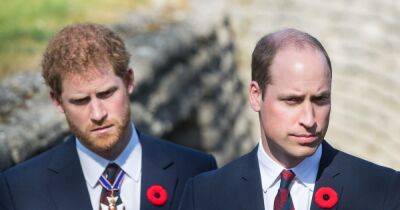 Prince Harry and William 'have no plans for a reconciliation meeting' at Coronation - www.ok.co.uk - Britain - county Charles