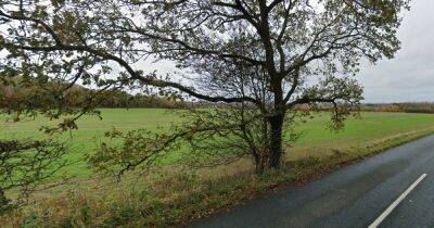 Man, 20, dies and another left injured after car hit a tree - www.manchestereveningnews.co.uk