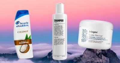 11 Best Shampoos for Itchy Scalp - www.usmagazine.com