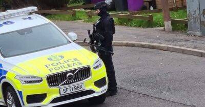 Armed cops swoop on residential Scots street following reports of 'disturbance' - www.dailyrecord.co.uk - Scotland - Beyond