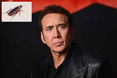 Nicolas Cage claims he ate live cockroaches for film: ‘Never do that again’ - nypost.com