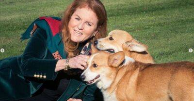 Sarah Ferguson says Queen's corgis are getting over 'their grief' and 'really happy' - www.ok.co.uk - county Windsor - city Sandy