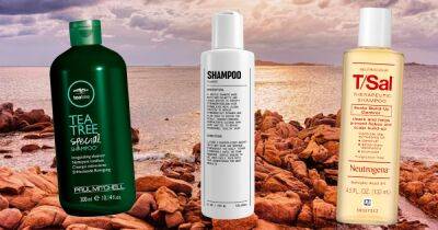 15 Best Shampoos for Oily Hair in 2023 - www.usmagazine.com - USA
