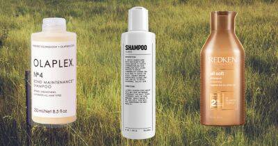 16 Best Shampoos For Straight Hair in 2023 - www.usmagazine.com