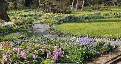 Kirkcudbright garden features on BBC Scotland's Beechgrove Garden - www.dailyrecord.co.uk - Scotland