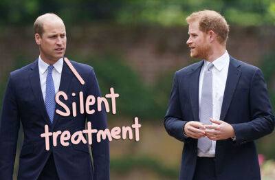 Prince Harry & Prince William Haven't Spoken A WORD To Each Other: 'A Big Void' - perezhilton.com