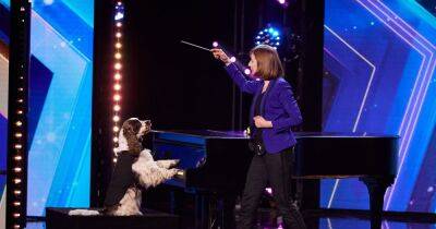 Britain's Got Talent's first ever piano playing dog divides show viewers - www.ok.co.uk - Britain