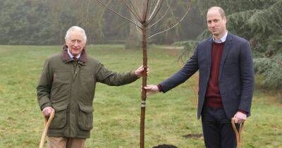 Charles and William mark end of project which saw 3m trees planted in Queen's name - www.ok.co.uk - Britain - county Windsor