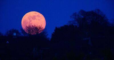 Why is April full moon called a Pink Moon and what it means - www.manchestereveningnews.co.uk - Britain - USA - Manchester - Canada - state Maine - county Christian