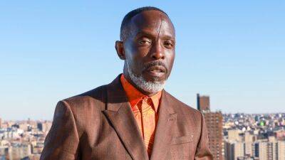 Michael K. Williams Drug Dealer, Who Sold Deadly Fentanly-Laced Heroin to ‘The Wire’ Star, Pleads Guilty - thewrap.com - New York - New York - city Brooklyn