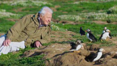 Prime Video Acquires BBC’s David Attenborough Docuseries ‘Wild Isles’ for Earth Day - thewrap.com - Britain