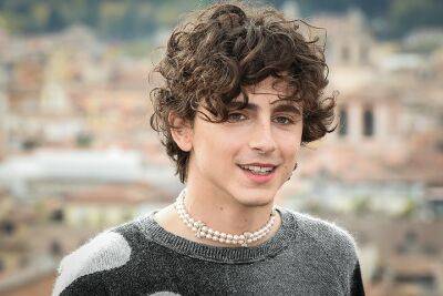 Timotheé Chalamet Will Be Singing In Bob Dylan Biopic, Confirms Director - etcanada.com - New York - USA - New York - Indiana