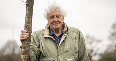 Why David Attenborough is urging people not to cut their grass this month - www.manchestereveningnews.co.uk - Britain - Manchester