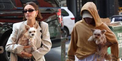 Hailey & Justin Bieber Bring Their Dogs Out in New York City - www.justjared.com - New York