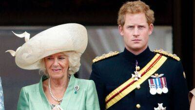 King Charles ‘further alienated’ from Prince Harry by Queen Camilla; insider says ‘things look pretty bleak’ - www.foxnews.com