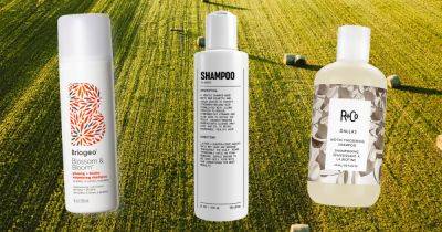 13 Best Biotin Shampoos in 2023 - www.usmagazine.com