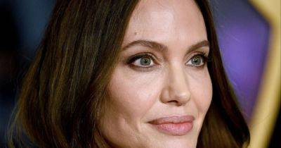 Angelina Jolie announces surprise business venture - www.msn.com - Spain