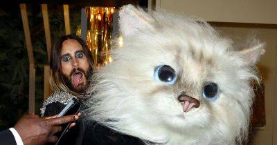 Jared Leto's lifelike Karl Lagerfeld cat costume sparks priceless celeb reactions - www.ok.co.uk