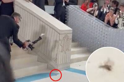 Met Gala cockroach crashes red carpet — but its fashion dreams were squashed - nypost.com - New York