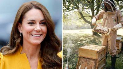 Princess Kate Middleton channels inner Queen Bee amid Prince Harry, Meghan Markle alleged car chase - www.foxnews.com - New York - city Sandringham - county Norfolk