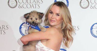 Amanda Holden could 'take over Paul O'Grady's For The Love Of Dogs' after tragic death - www.ok.co.uk