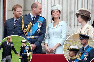 Princes Harry, William could bury hatchet with help from this royal: report - nypost.com