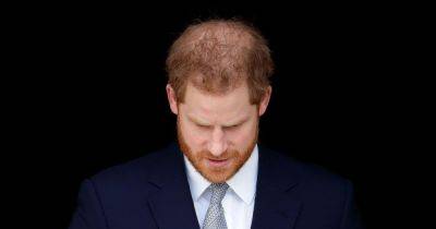 Prince Harry loses legal bid to challenge Home Office security arrangements ban - www.dailyrecord.co.uk - Britain