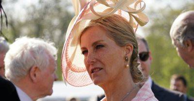 Duchess Sophie breaks silence after death of woman hit by police escort motorcycle - www.ok.co.uk - county Martin