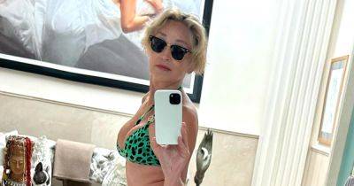 Sharon Stone Pokes Out Her Bum in Sexy Animal Print Bikini: ‘Ready for Summer’ - www.usmagazine.com - Los Angeles - Pennsylvania - county Stone