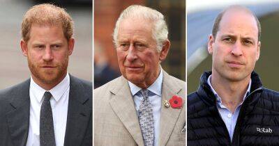 Prince Harry Has ‘Somewhat Regular Pattern of Conversation’ With King Charles III, But ‘Minimal Contact’ With Prince William - www.usmagazine.com - Britain - county Sussex