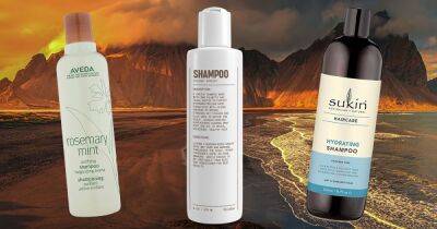 11 Best Clean Shampoos in 2023 - www.usmagazine.com