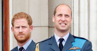 Prince Harry and William used secret code to communicate at royal funeral - www.dailyrecord.co.uk - USA - California