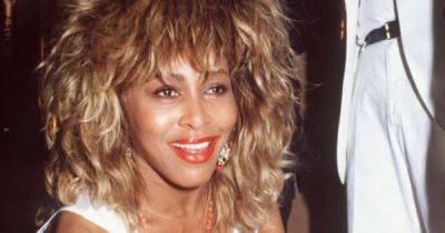 Tina Turner’s stroke hit her like ‘lightning bolt’ and robbed her of her voice - www.msn.com