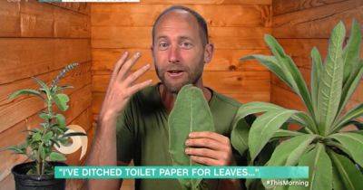 ITV This Morning viewers say show has hit 'new low' over interview with 'man on toilet' days after Phil's exit - www.manchestereveningnews.co.uk - North Carolina