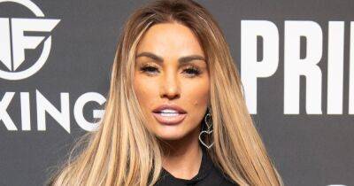 Katie Price will use 'one of her fans' as a surrogate for sixth baby - www.ok.co.uk