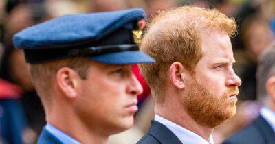Prince Harry and brother William's last public exchange was just one simple sentence - www.ok.co.uk - Britain - county Charles
