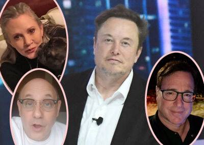 Elon Musk Is Removing The Tweets Of People Who've Died To Save Space - perezhilton.com