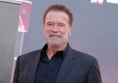 Arnold Schwarzenegger Remembers ‘Embarrassing’ Box Office Bomb ‘The Last Action Hero’: ‘I Didn’t Want To See Anyone For A Week’ - etcanada.com