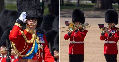 Prince William Praises Soldiers During Trooping the Colour Rehearsal After 2 Guards Faint: Photos - www.usmagazine.com - Britain - London